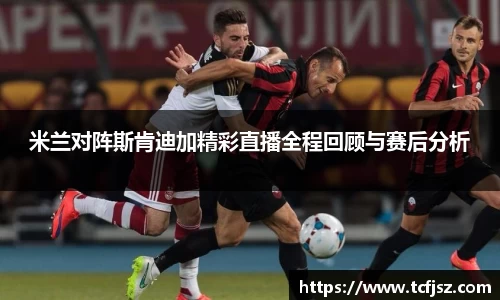 NG体育官方网站